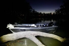 Fishing for Murray Cod: An Australian Freshwater Treasure ...