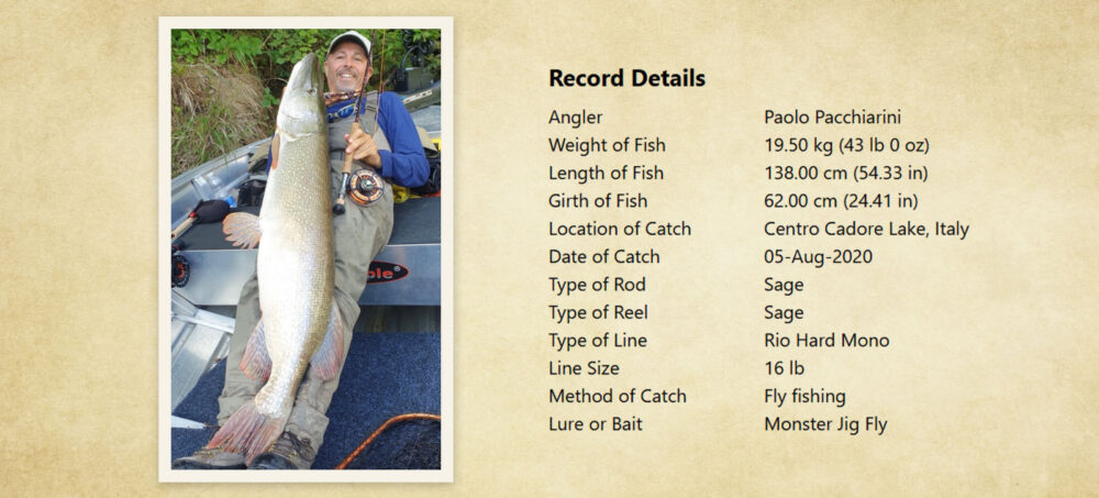 Pike Size 12 of the Largest Northern Pike in IGFA World Record History ...